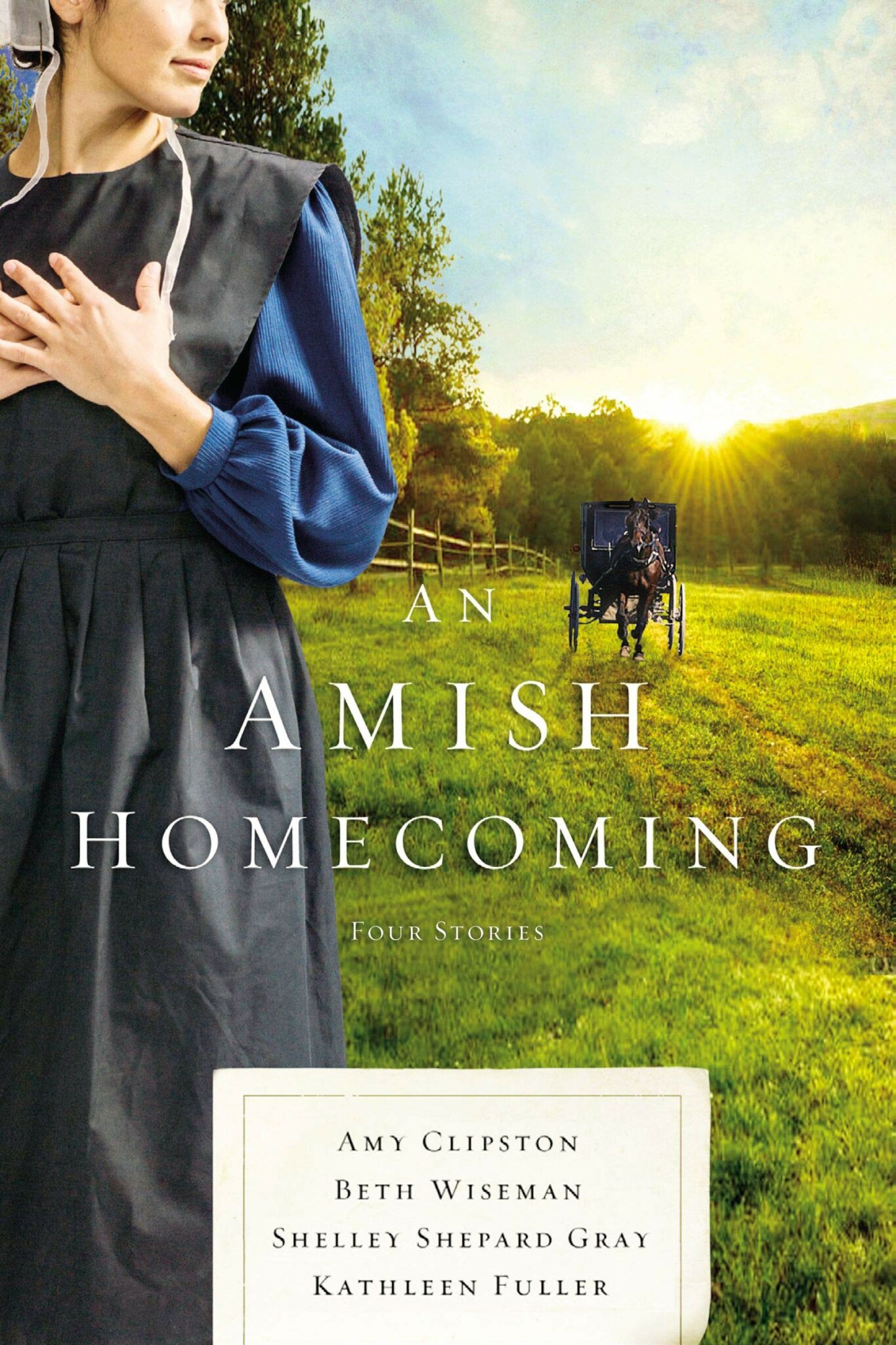 her secret the amish of hart county shelley shepard gray her secret the amish of hart county shelley shepard gray